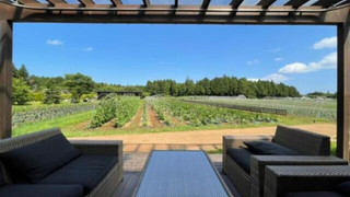 スタンダード コテージ