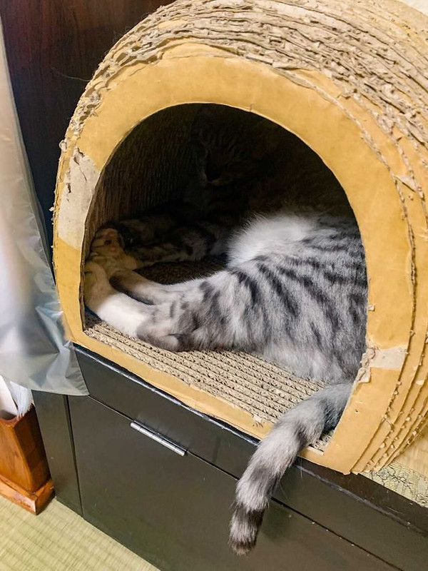 shihoko0922さんの写真 / 5