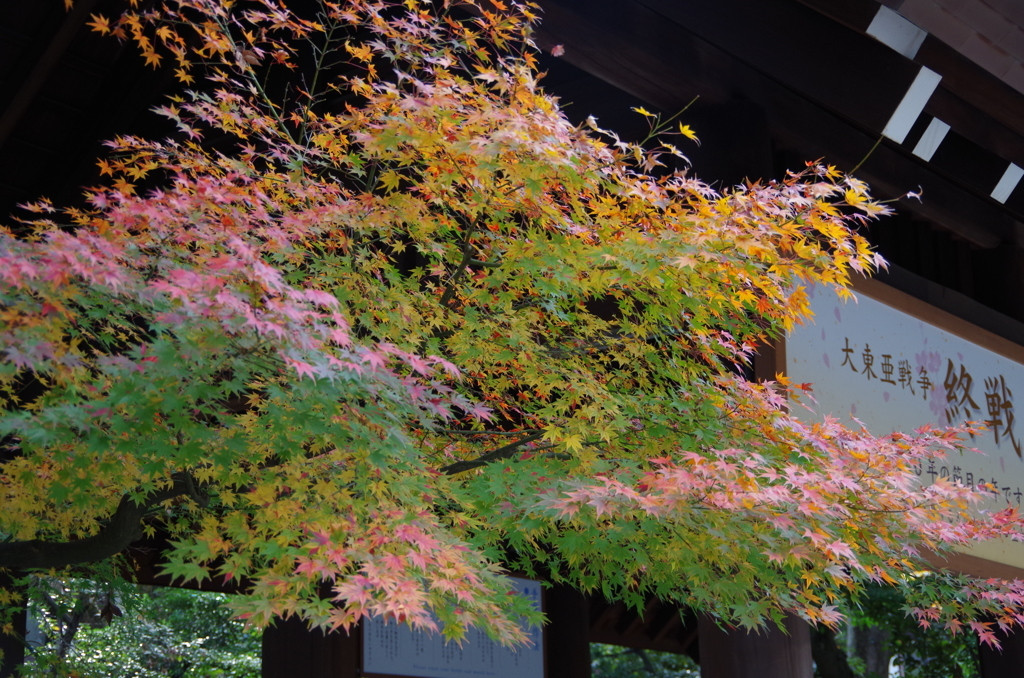 靖国神社／九段下駅14564