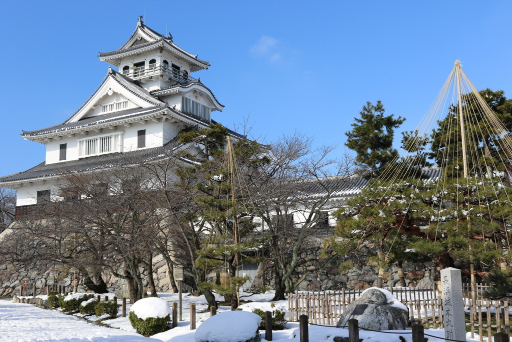4.長浜城跡（長浜城歴史博物館）／滋賀県1468398
