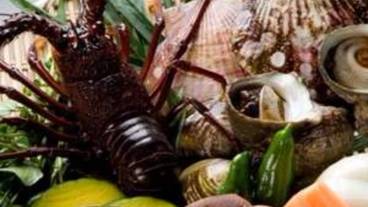 食事・飲み物 / 18