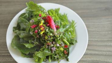 レストラン / 15