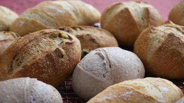 食事・飲み物 / 2