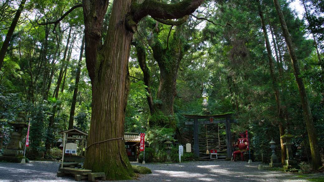 東霧島（つまきりしま）神社 / 5