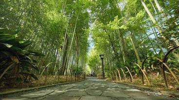 観光スポット / 11