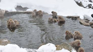 観光スポット / 3