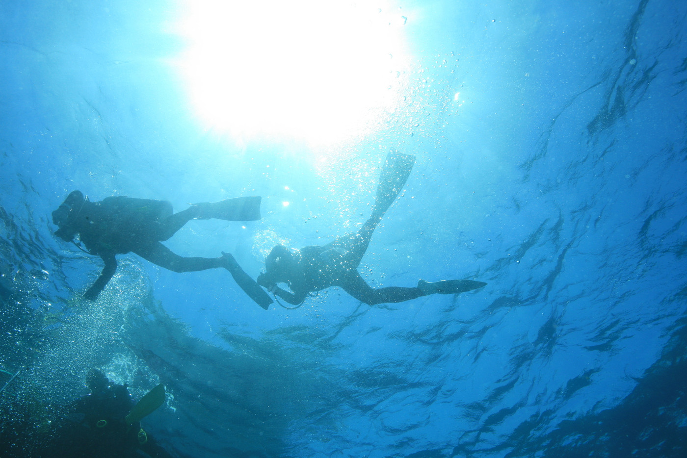 ダイバー ダイビング 体験ダイビング