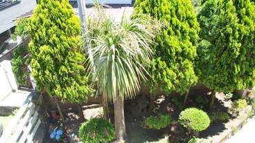 部屋からの景観 / 12