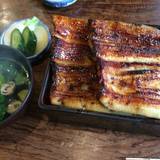 うな正(ウナショウ)