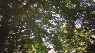 施設からの眺望 / 10