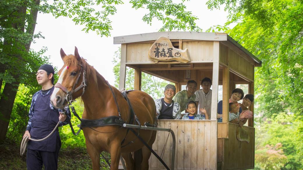 馬車で公園散策　朝のイベント / 5