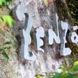 山川ZENZO