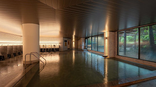 クラシックルーム 和室 マウンテンビュー