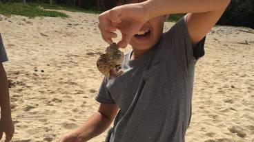 子供用の遊び場 - 屋外 / 5