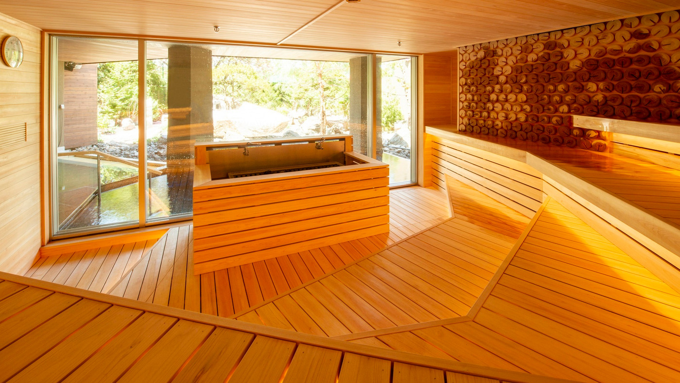 絶景温泉に本格サウナ！心ととのう癒しのステイ3530930