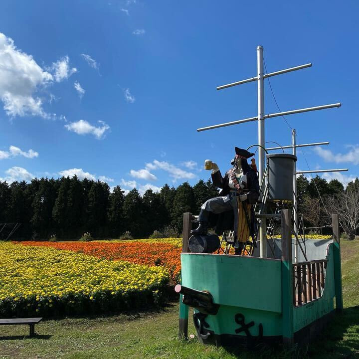 seablue.777さんの写真 / 1