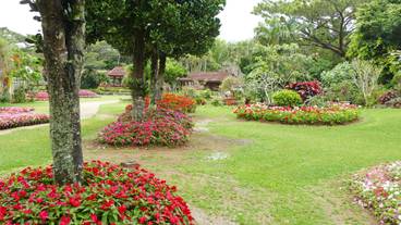 宮古島市熱帯植物園 園内 / 6