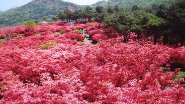 施設からの眺望 / 11