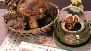 レストラン / 16