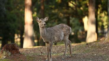ホテル敷地内の風景① / 1