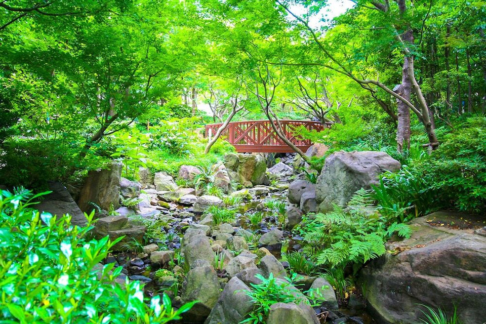 中自然の森