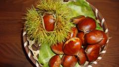 ラグジュアリープチホテル ゆらぎの宿SHUBOU