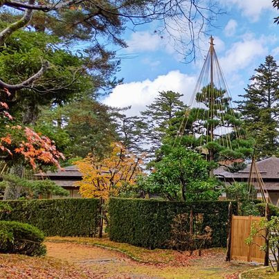 hatosabukoさんの写真 / 1