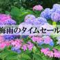 6/25まで【梅雨のタイムセール】食事は部屋又は個室会食場☆ | 鎌先温泉 すヾきや旅館（すずきや）