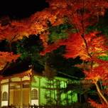 秋の特別拝観が見逃せない！紅葉が美しい京都「宝厳院」