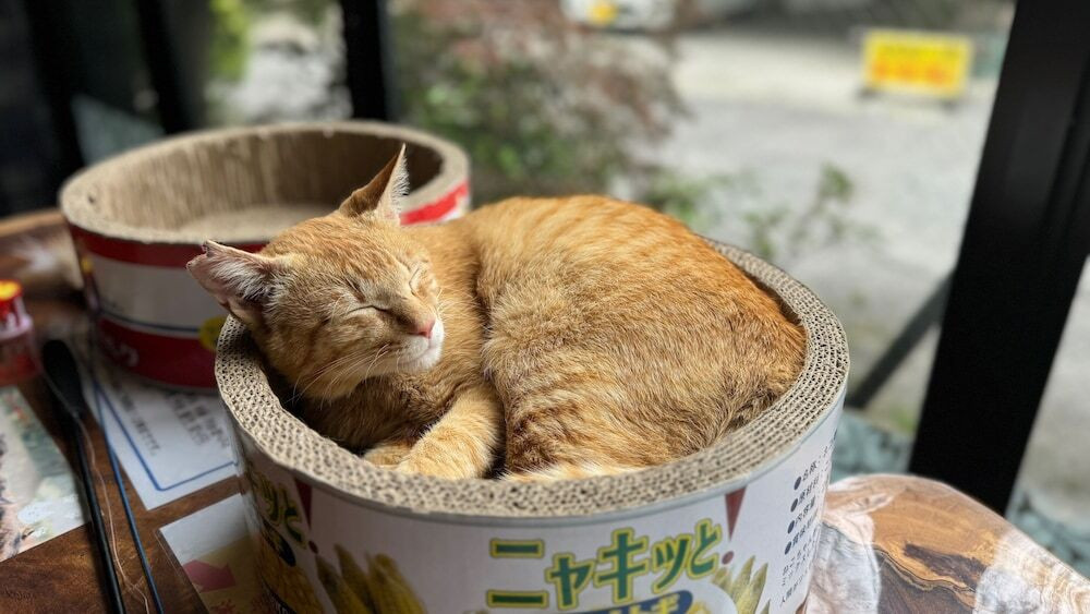 施設の正面