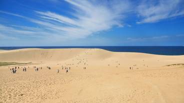 子供向けアクティビティ / 5