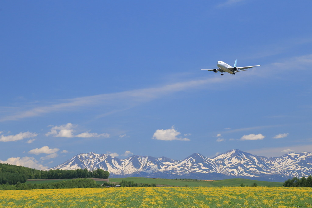 旭川をたっぷり味わう♡2人だけのカップル旅行3434968