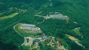 緑に囲まれたホテル / 1