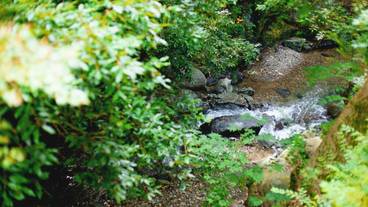 部屋からの景観 / 8