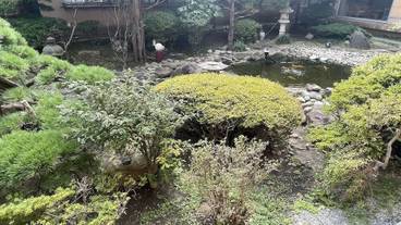 客室 / 9