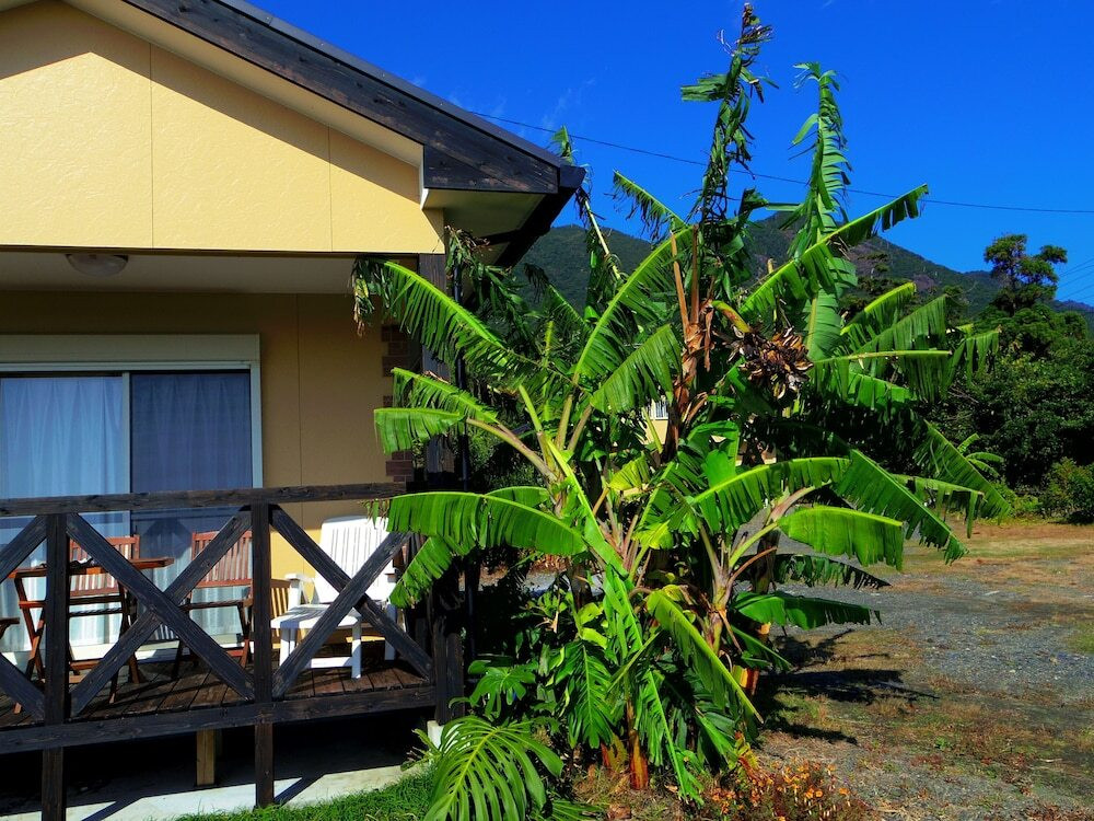 テラス / パティオ