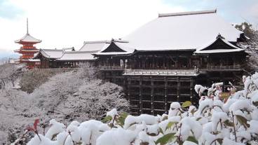 シティ ビュー / 6