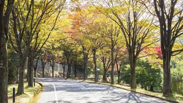 施設の敷地 / 17