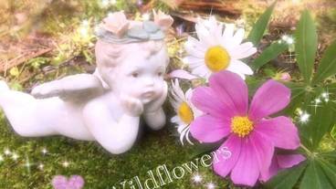 施設の敷地 / 24