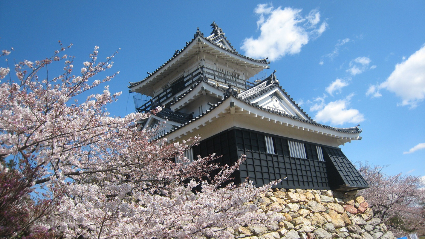 ● Hamamatsu Castle