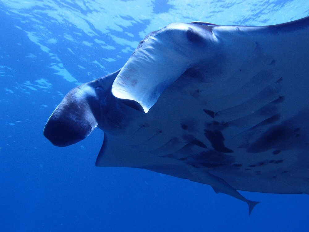 施設からの眺望