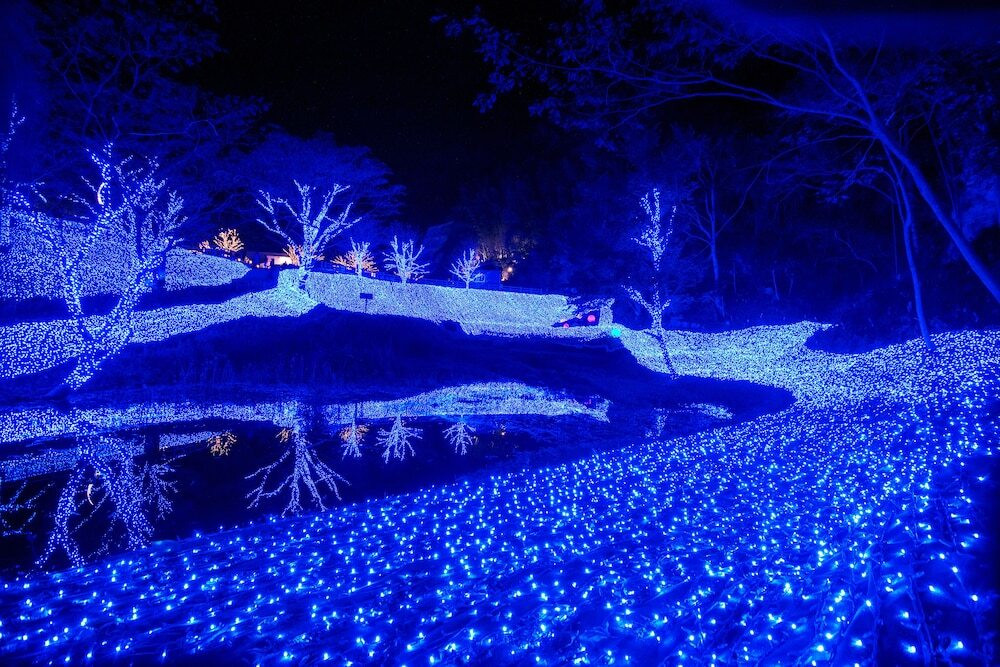 大規模リゾートでアクティブ＆ロマンチックな1日を4374518