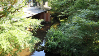 和室2間 スタンダード 12＋4.5畳 (50平),禁煙