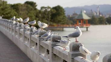 観光スポット / 17