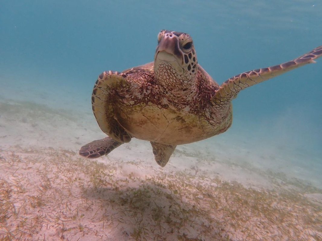 aiuchannさんの写真 / 2