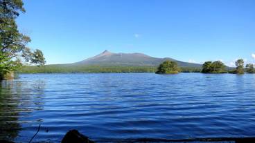 観光スポット / 8