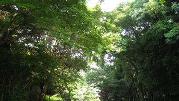 施設の敷地 / 28