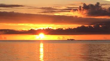 施設からの眺望 / 16