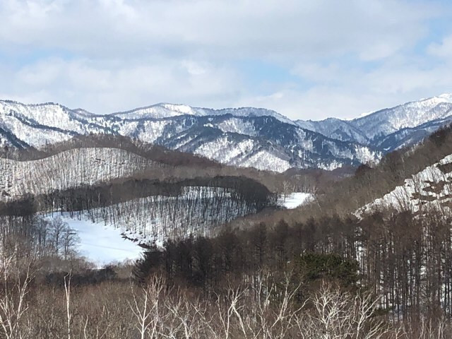 yuki_no_teshigotoさんの写真 / 1