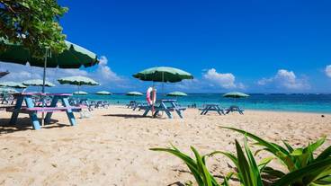 観光スポット / 7